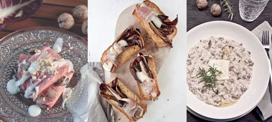 radicchio rosso di Treviso IGP