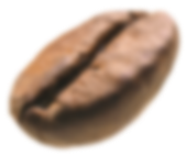 Con questo corso puoi diventare Ambasciatore Barista Caffè Dersut!