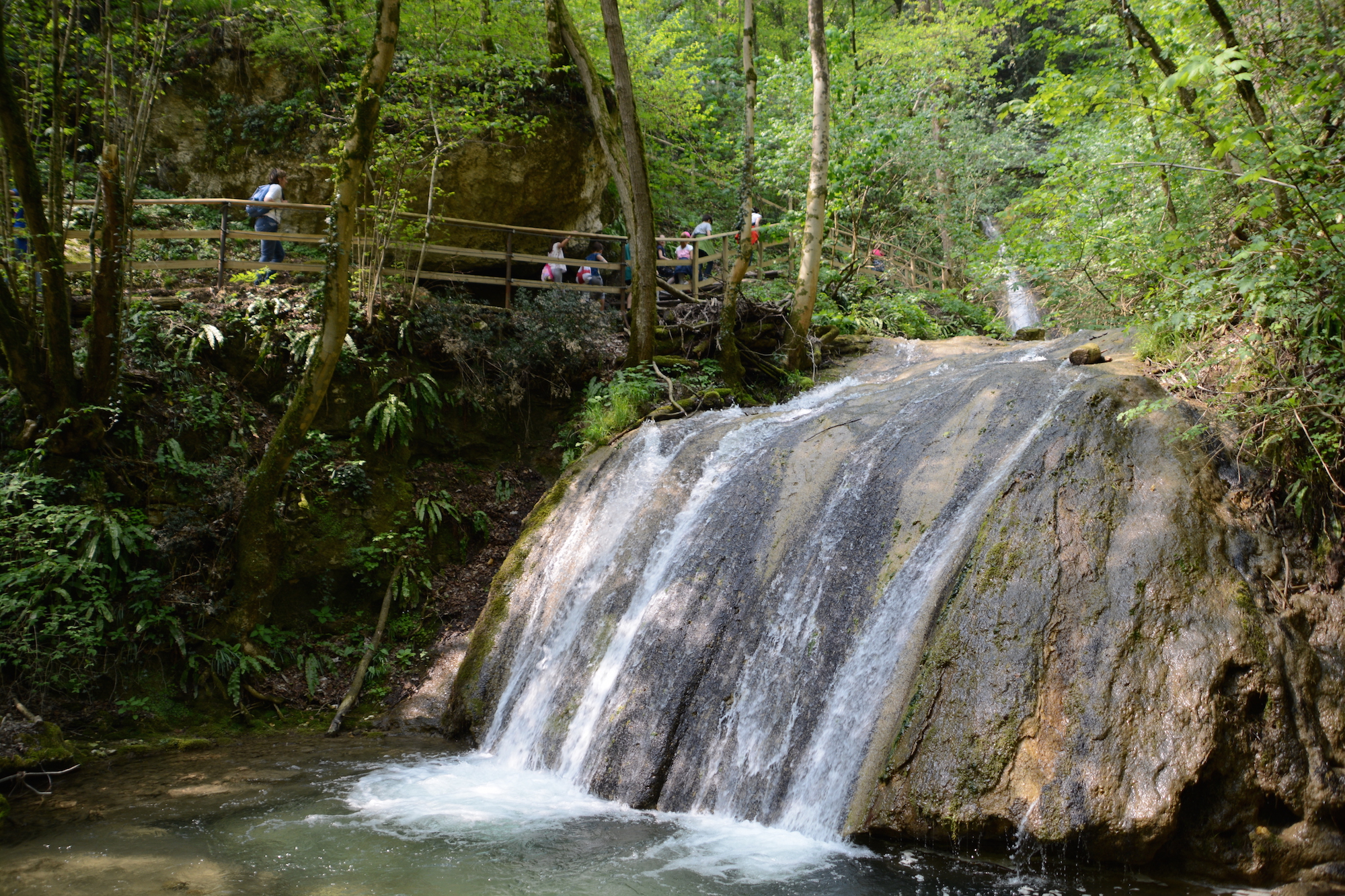 DSC_0846 DSC_0846