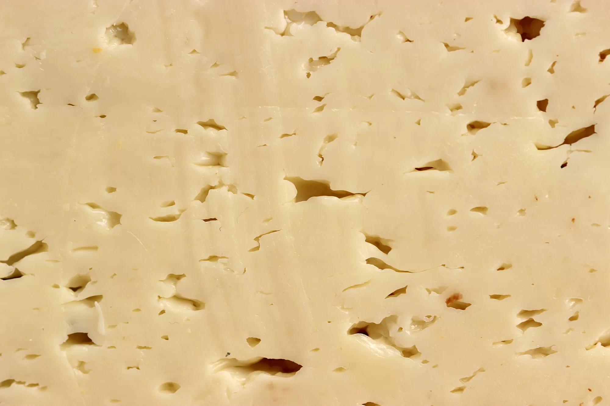 Formaggio italiano Asiago