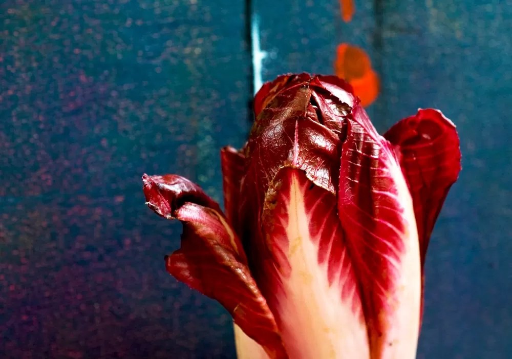 Radicchio Rosso di Treviso IGP