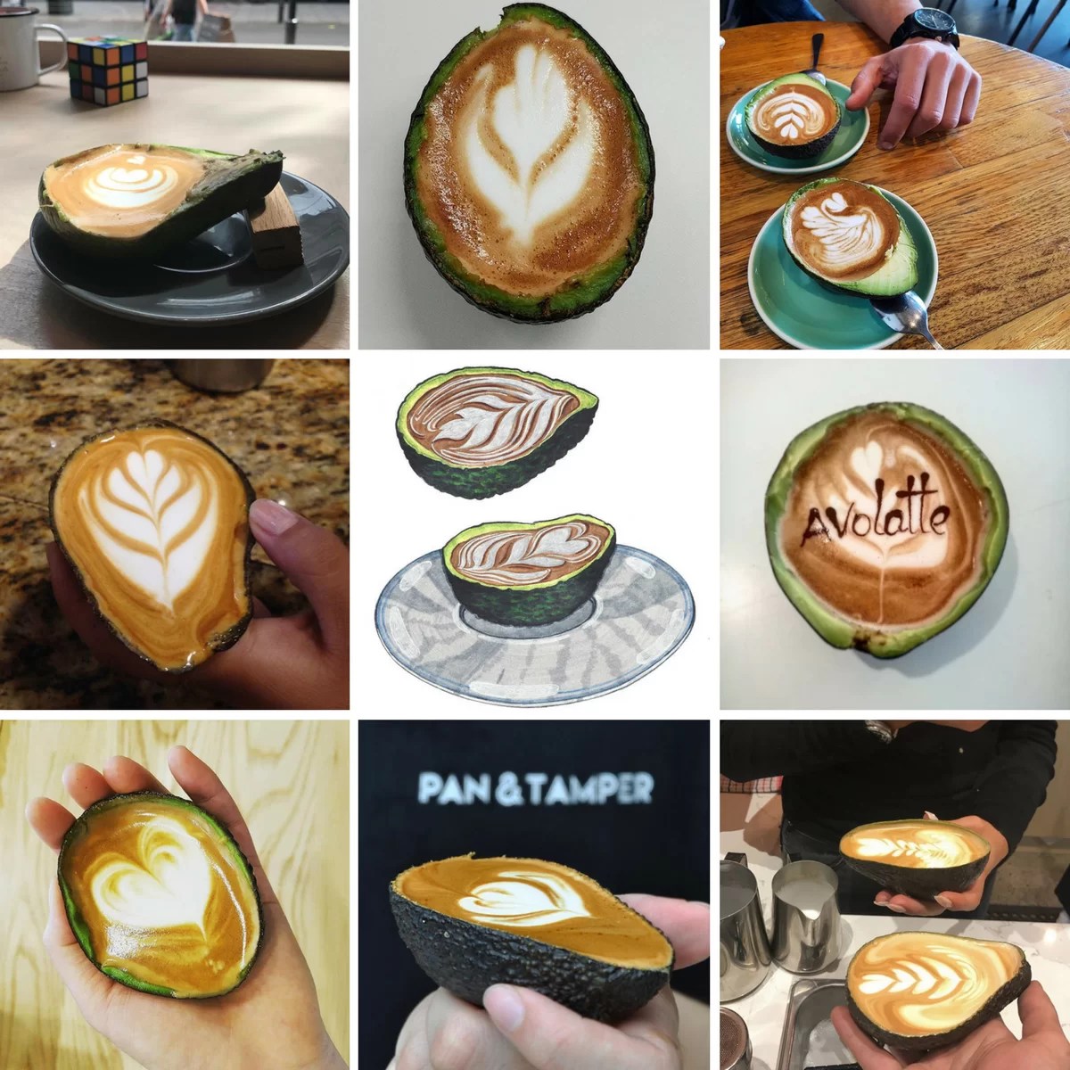 Dall'Australia arriva l'Avolatte ma lo vogliamo veramente?