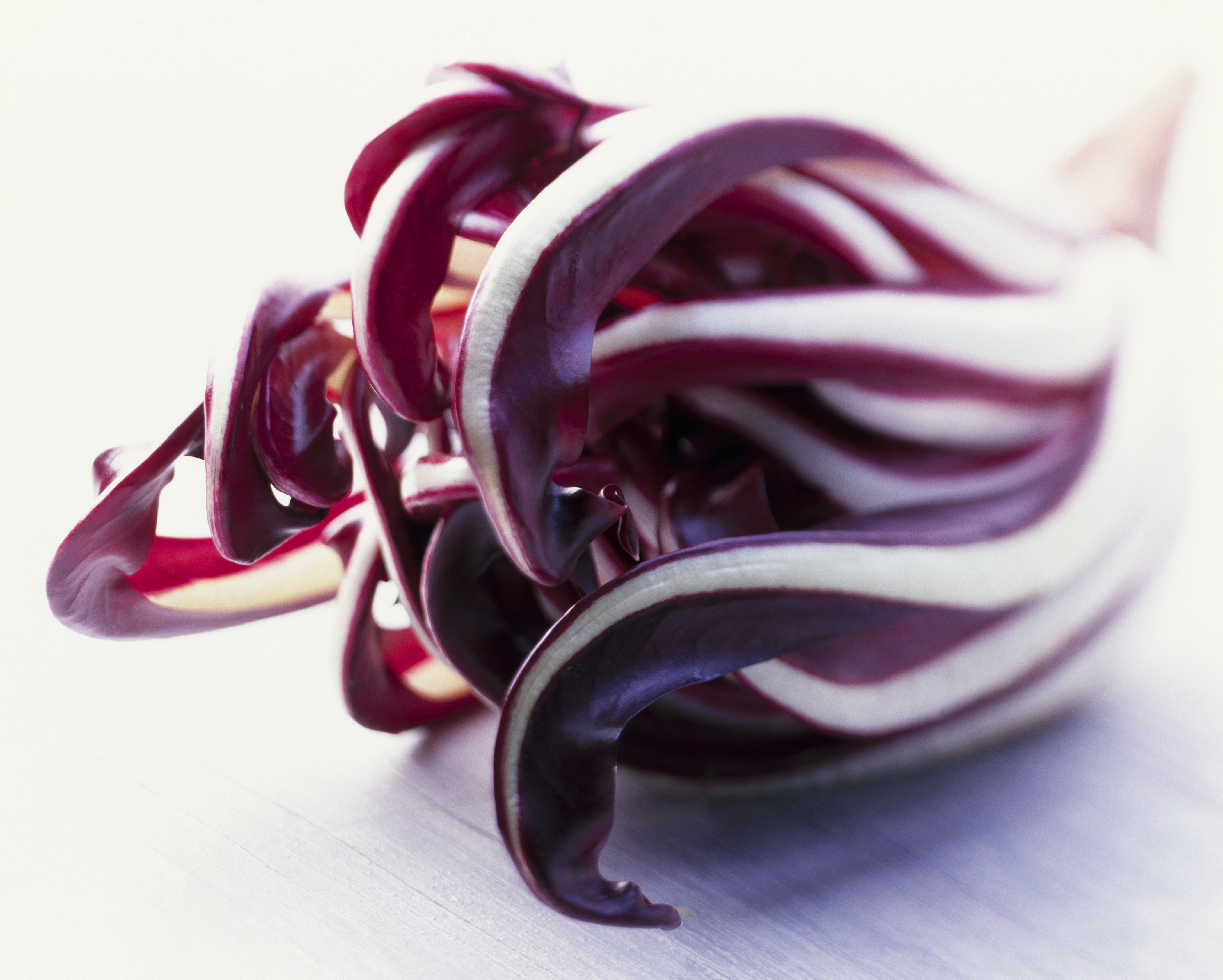 radicchio-rosso-di-Treviso