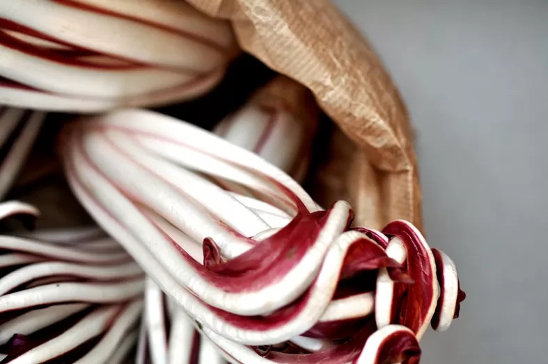 Radicchio Rosso di Treviso IGP