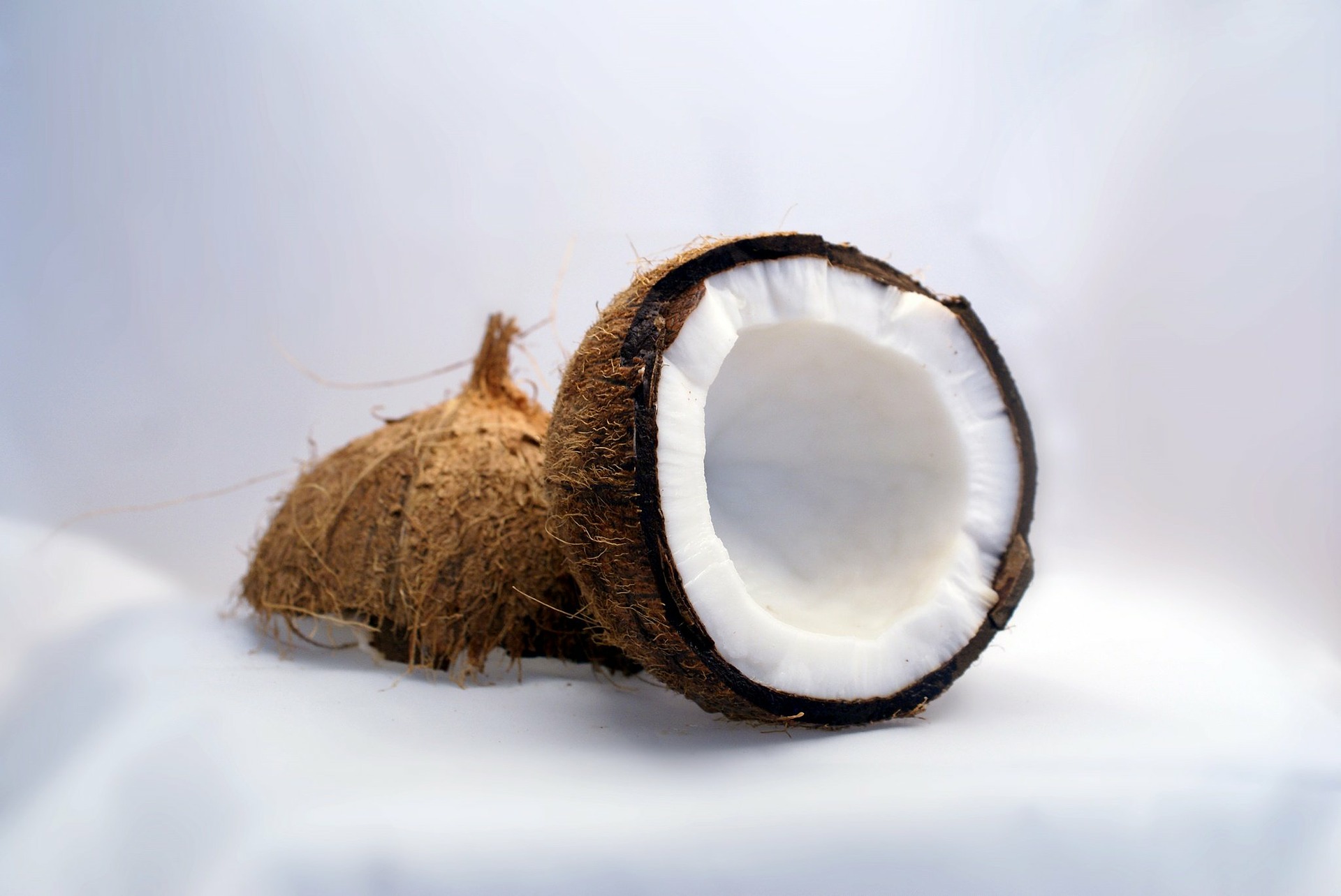 coconut-1125_1920