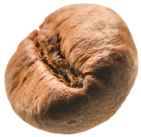 Con questo corso puoi diventare Ambasciatore Barista Caffè Dersut!